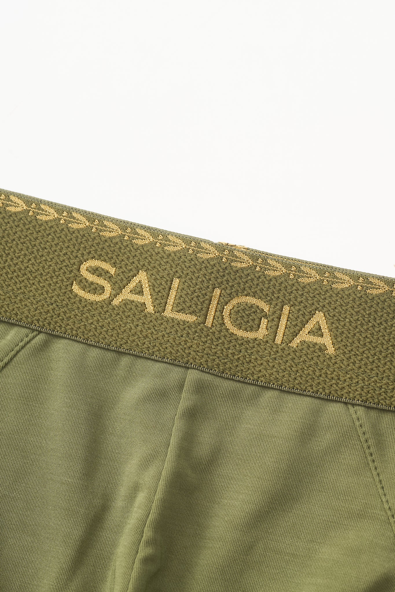 SALIGIA Green Greek Modal Laurel Brief - BANG & STRIKE (view 5)