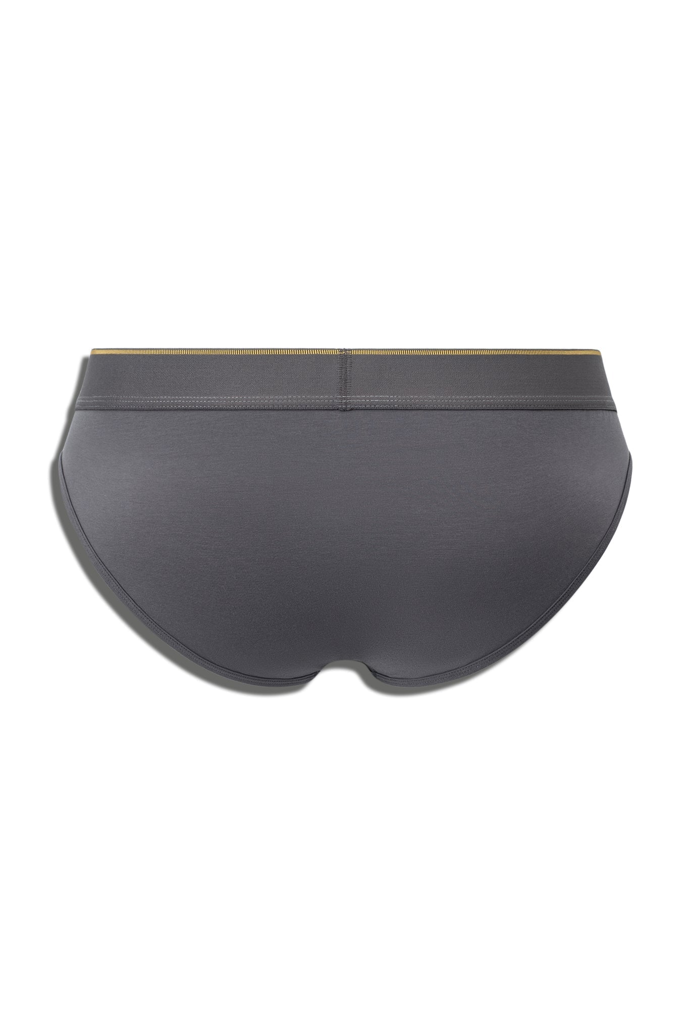 SALIGIA Grey Greek Column Brief