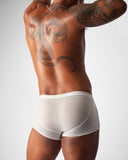 TEAMM8 Allure Sheer Trunk Platinum