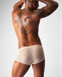 TEAMM8 Allure Sheer Trunk Husk