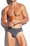 SALIGIA Gray Greek Column Modal Brief