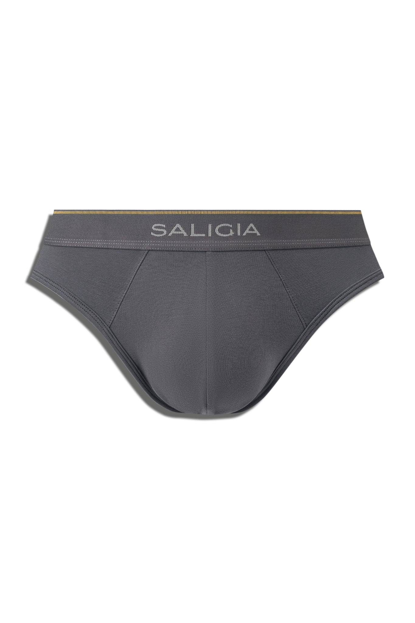 SALIGIA Grey Greek Column Brief