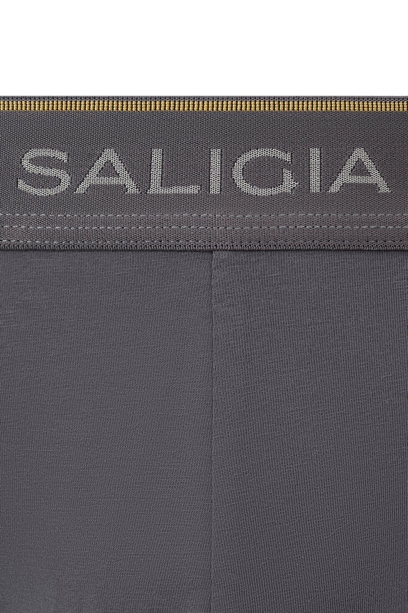 SALIGIA Grey Greek Column Brief